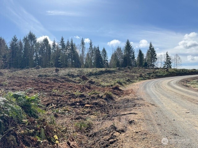 1 August Road Onalaska, WA 98570 - Photo 8 of 10 Gallery Image 8