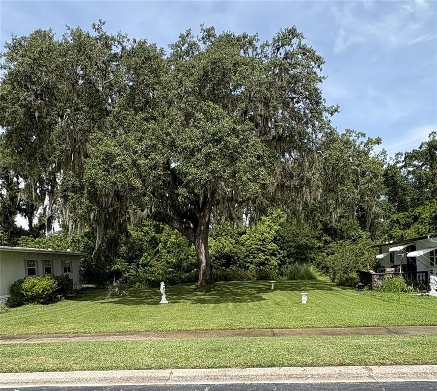 29129 Johnston Road, Unit 2510 Dade City, FL 33523 - Photo 2 of 9