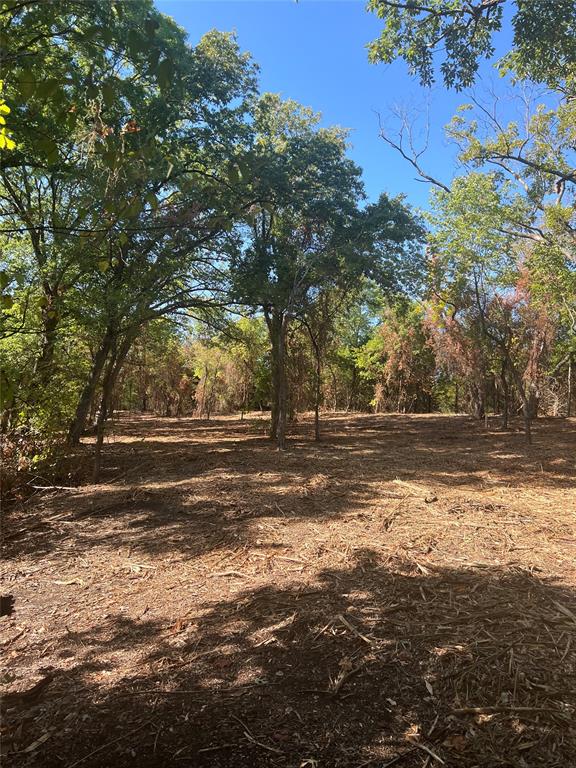 Tbd Tbd Rochelle Cannon Road Bells, TX 75414 - Photo 15 of 25