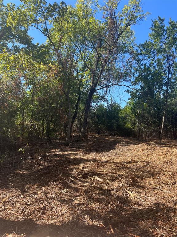 Tbd Tbd Rochelle Cannon Road Bells, TX 75414 - Photo 22 of 25