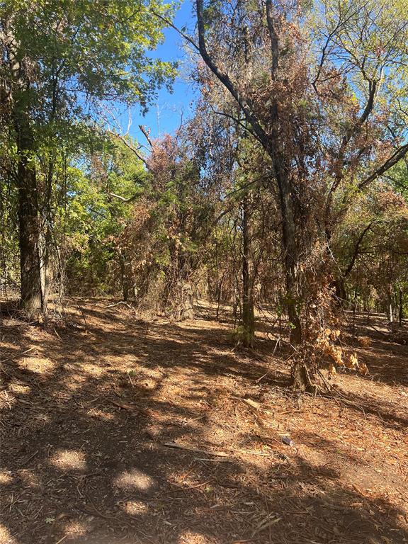 Tbd Tbd Rochelle Cannon Road Bells, TX 75414 - Photo 23 of 25