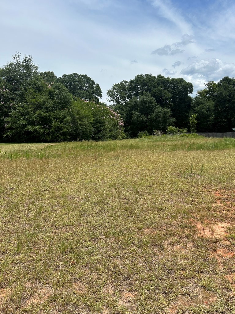 300 Rosa Lane Headland, AL 36345 - Photo 2 of 6