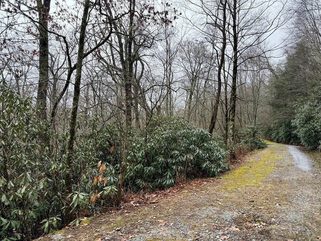 0 Satulah Ridge Road Highlands, NC 28741 - Photo 4 of 10 Gallery Image 4