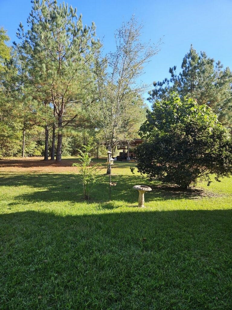 45820 Phillipsville Road Bay Minette, AL 36507 - Photo 8 of 15 Yard