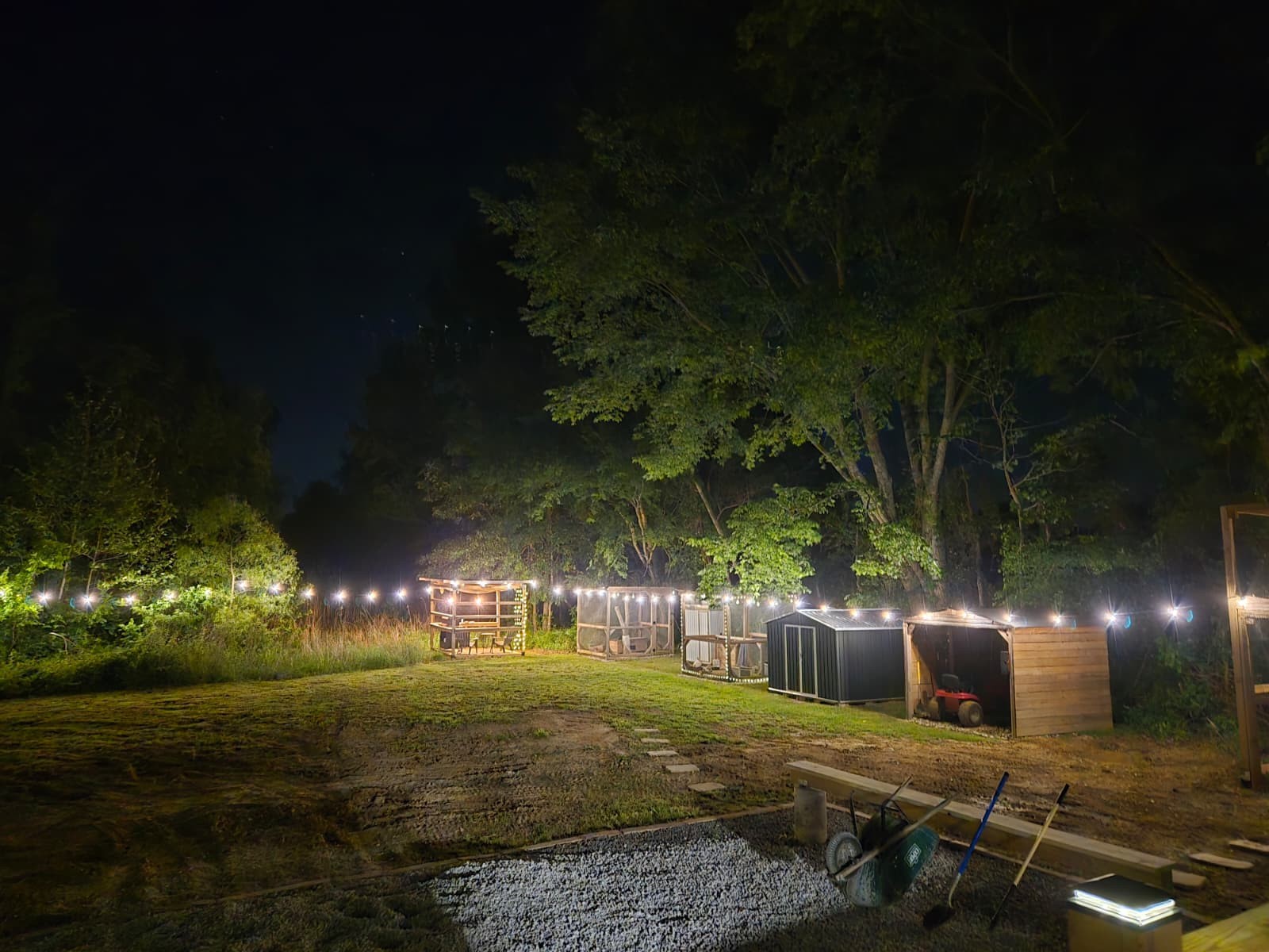 352 Scott Road Sharon Grove, KY 42280 - Photo 39 of 39 a view of a yard