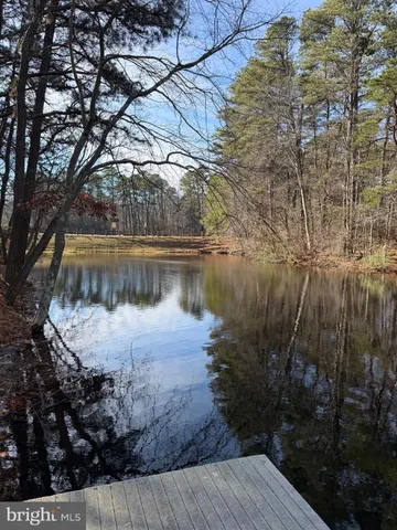 a view of a yard with trees