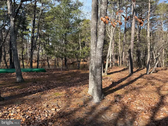 a view of a water fountain