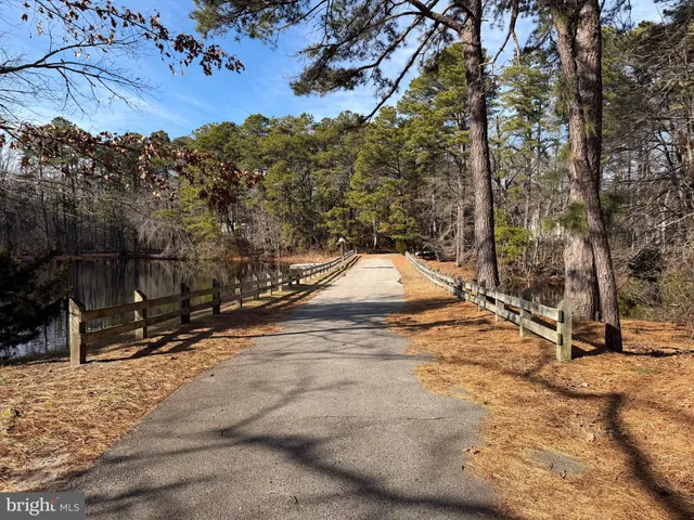 a view of a lake from a yard