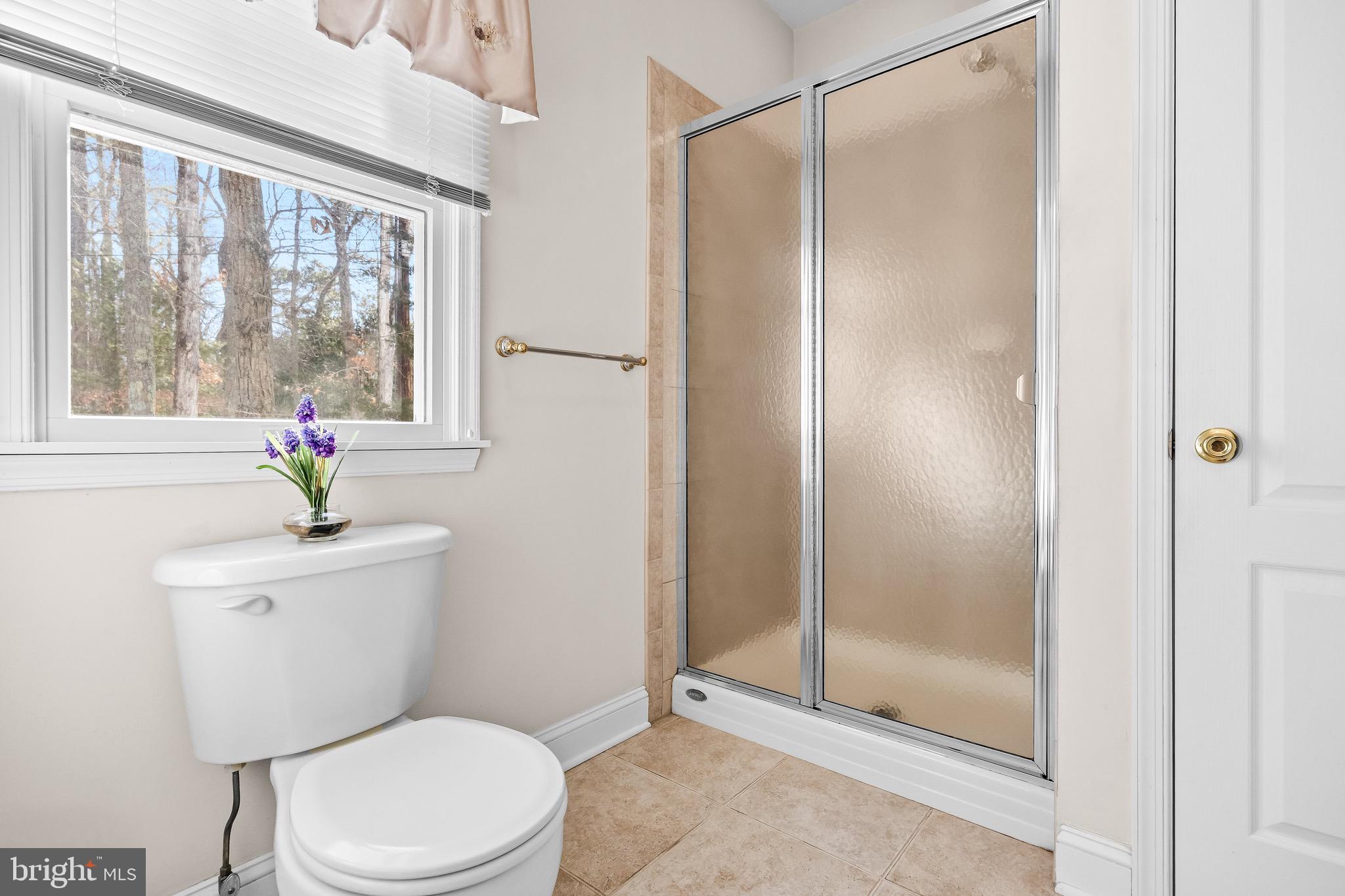 19 Big Look Trail Medford, NJ 08055 - Photo 25 of 61 a bathroom with a toilet and a shower