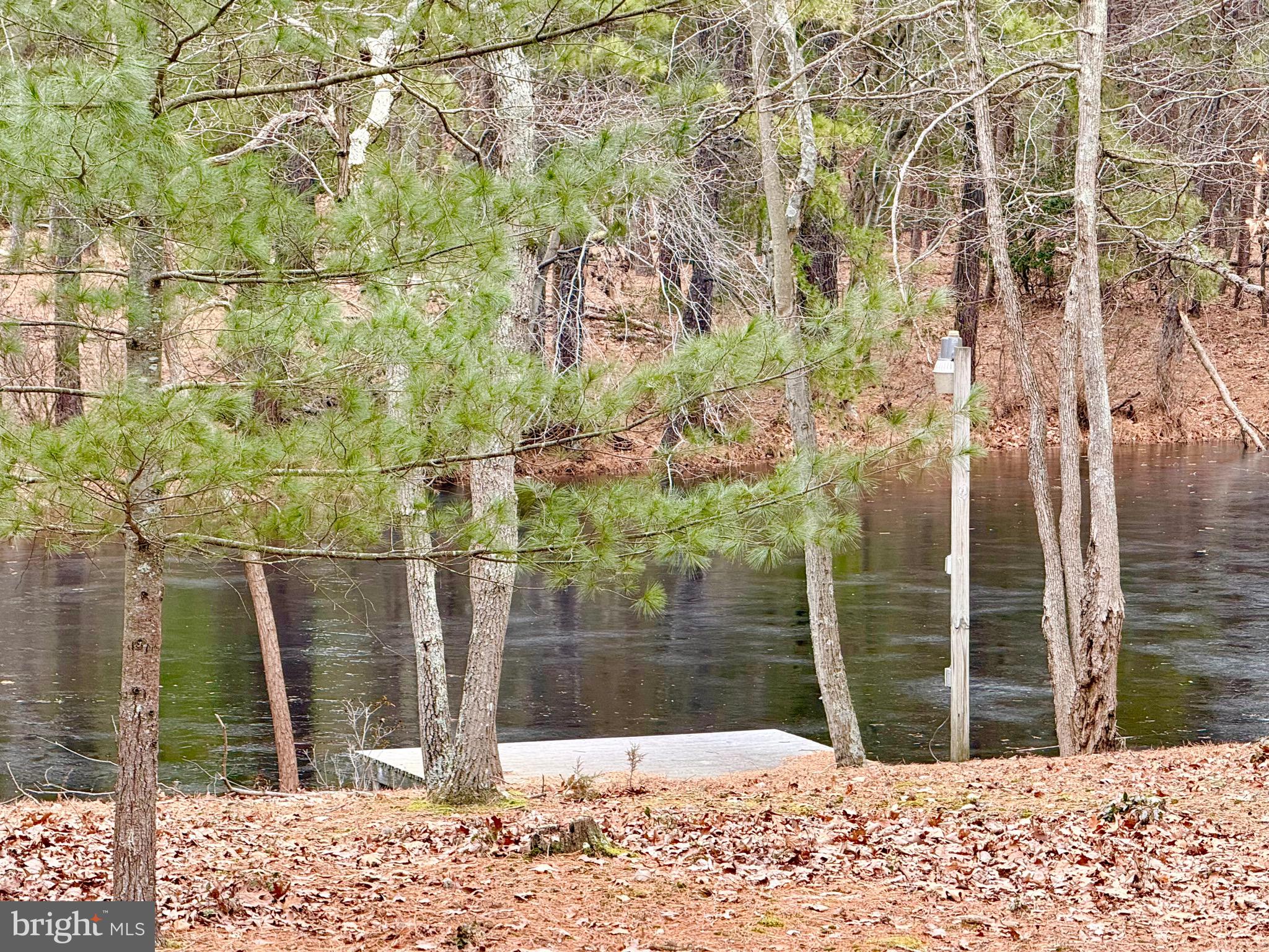 19 Big Look Trail Medford, NJ 08055 - Photo 46 of 61