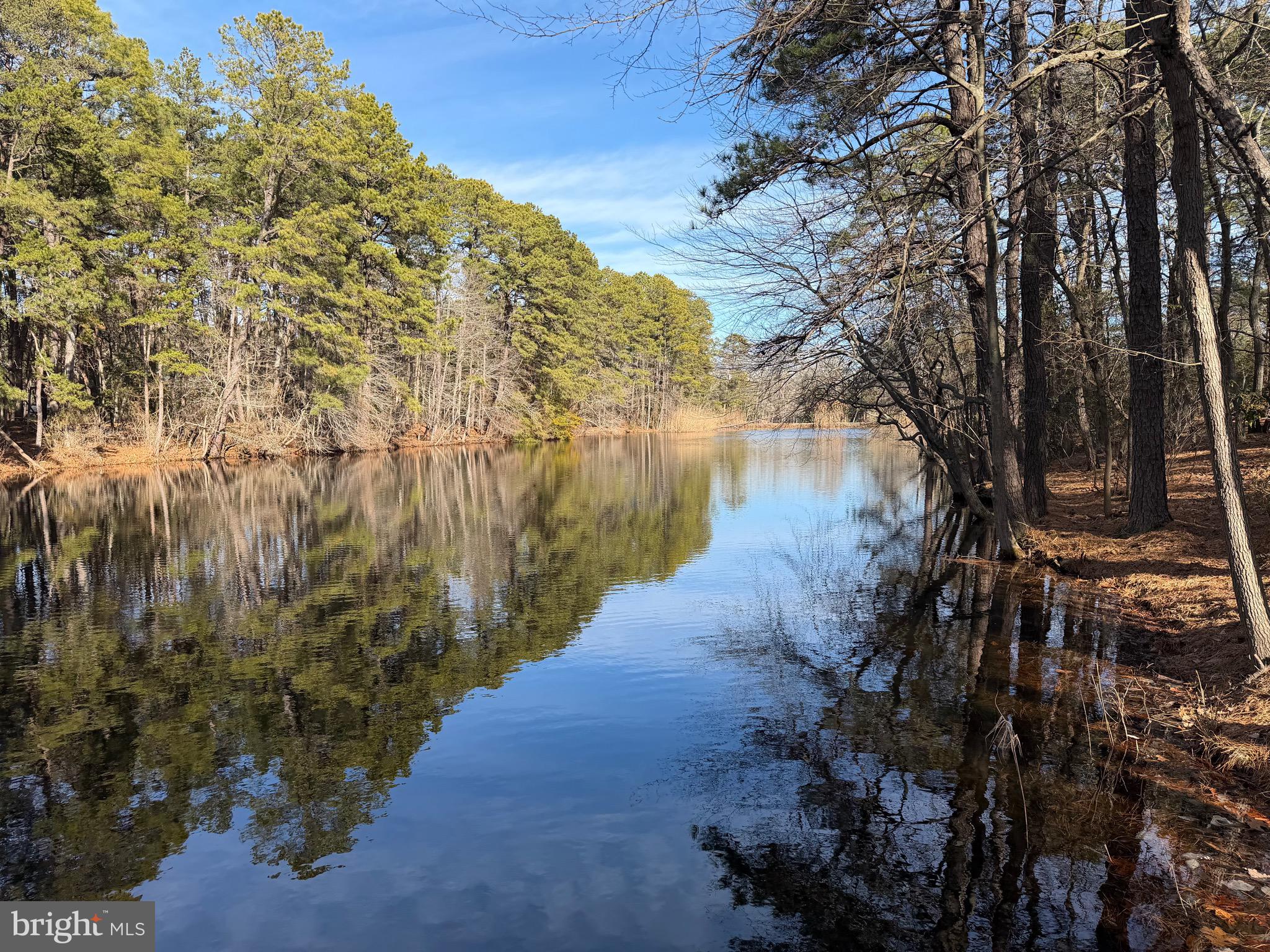 19 Big Look Trail Medford, NJ 08055 - Photo 47 of 61 a view of a lake with outside space