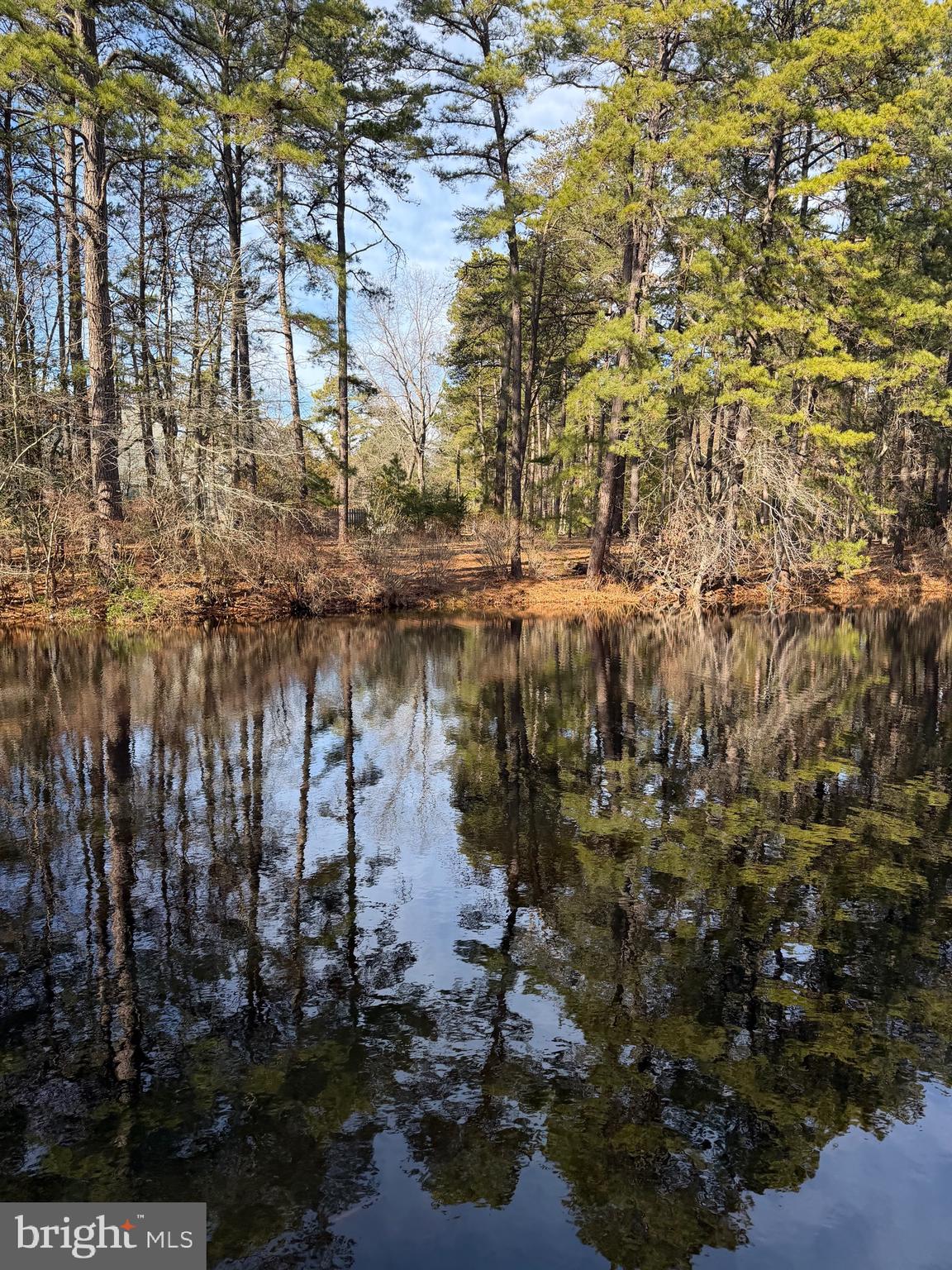 19 Big Look Trail Medford, NJ 08055 - Photo 49 of 61 a view of lake