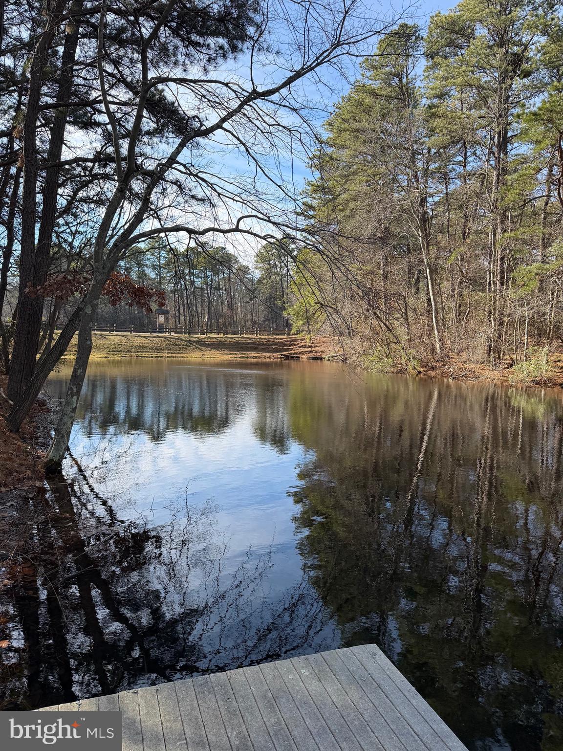 19 Big Look Trail Medford, NJ 08055 - Photo 50 of 61