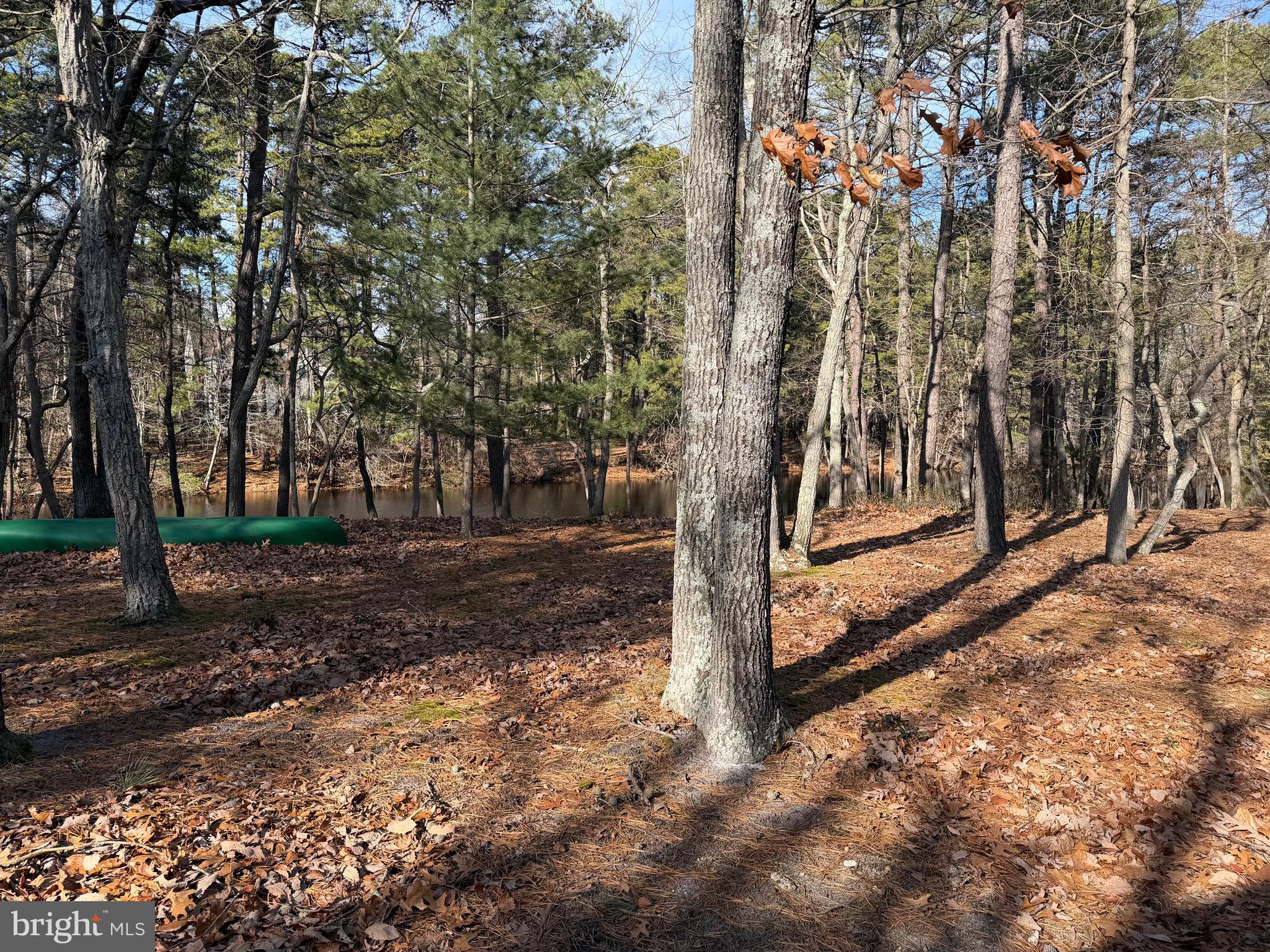 19 Big Look Trail Medford, NJ 08055 - Photo 51 of 61 a view of a yard with trees