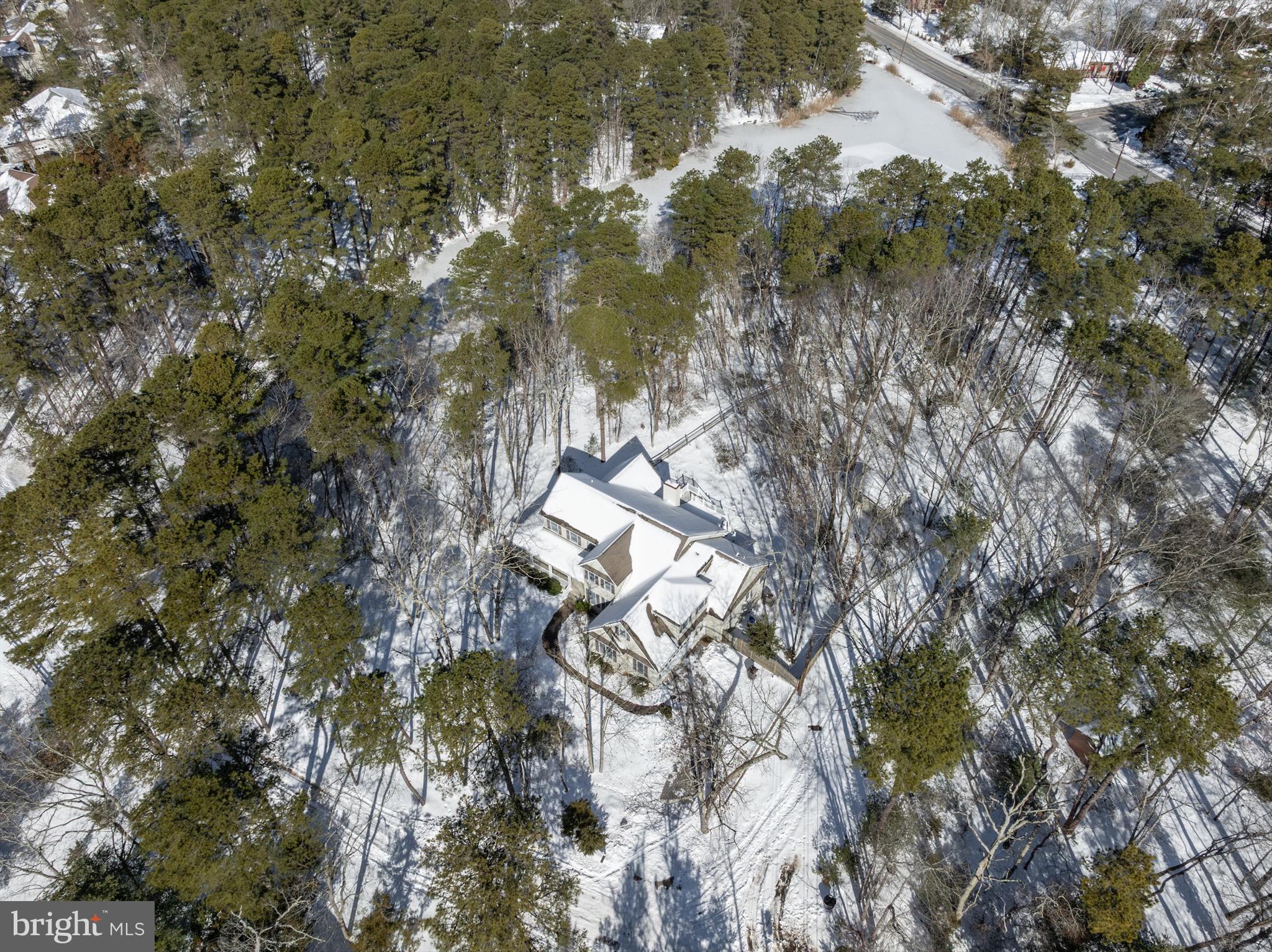 19 Big Look Trail Medford, NJ 08055 - Photo 58 of 61 a view of tree