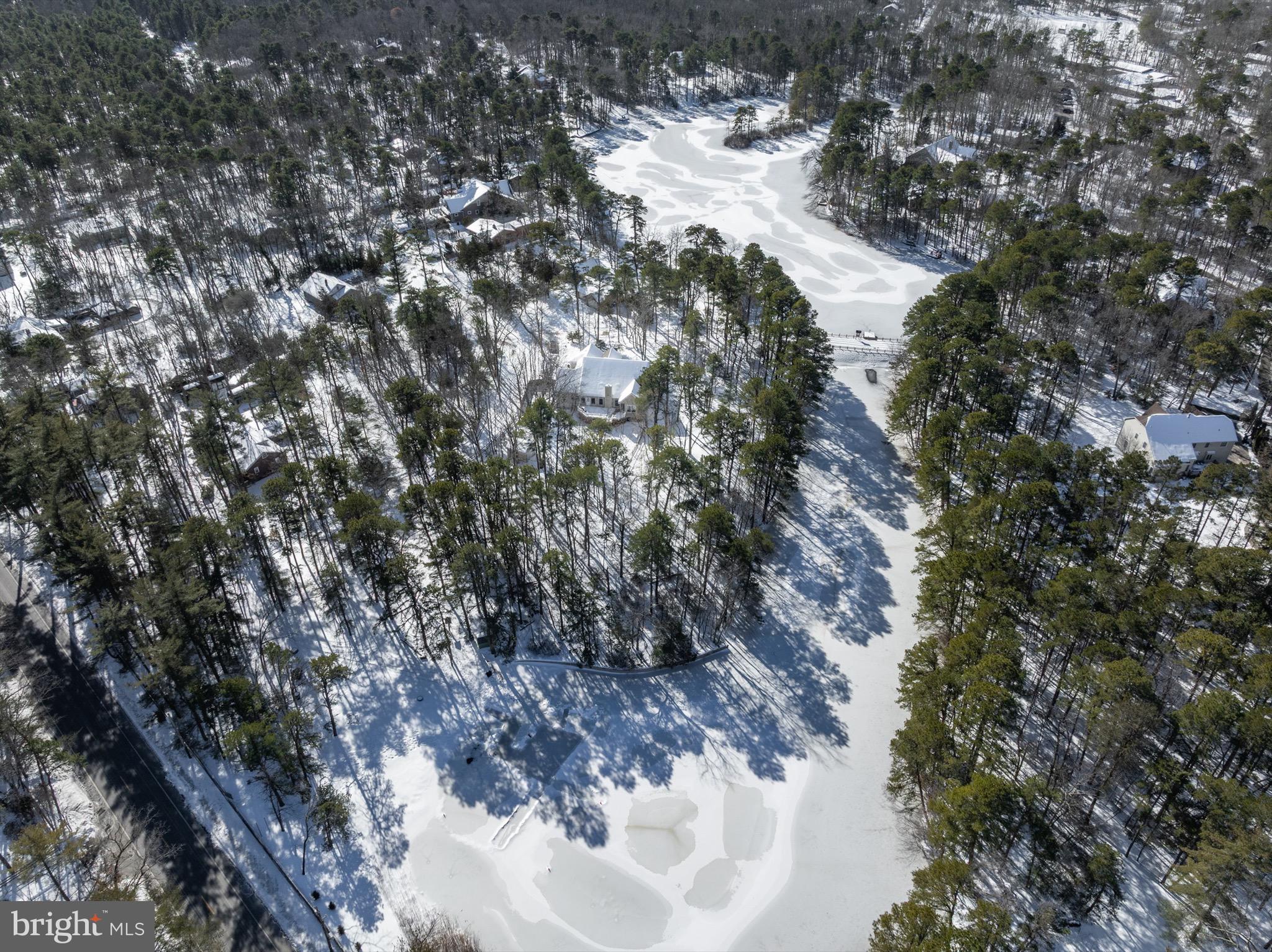 19 Big Look Trail Medford, NJ 08055 - Photo 59 of 61 a view of a forest that has a tree