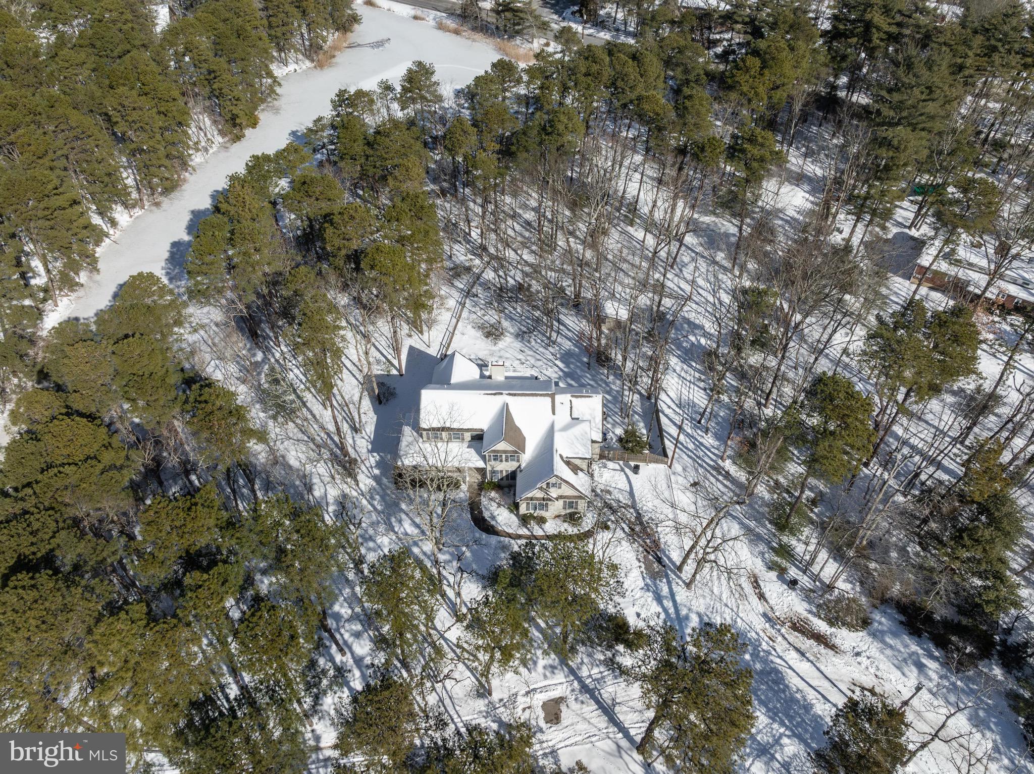 19 Big Look Trail Medford, NJ 08055 - Photo 60 of 61 a picture of trees
