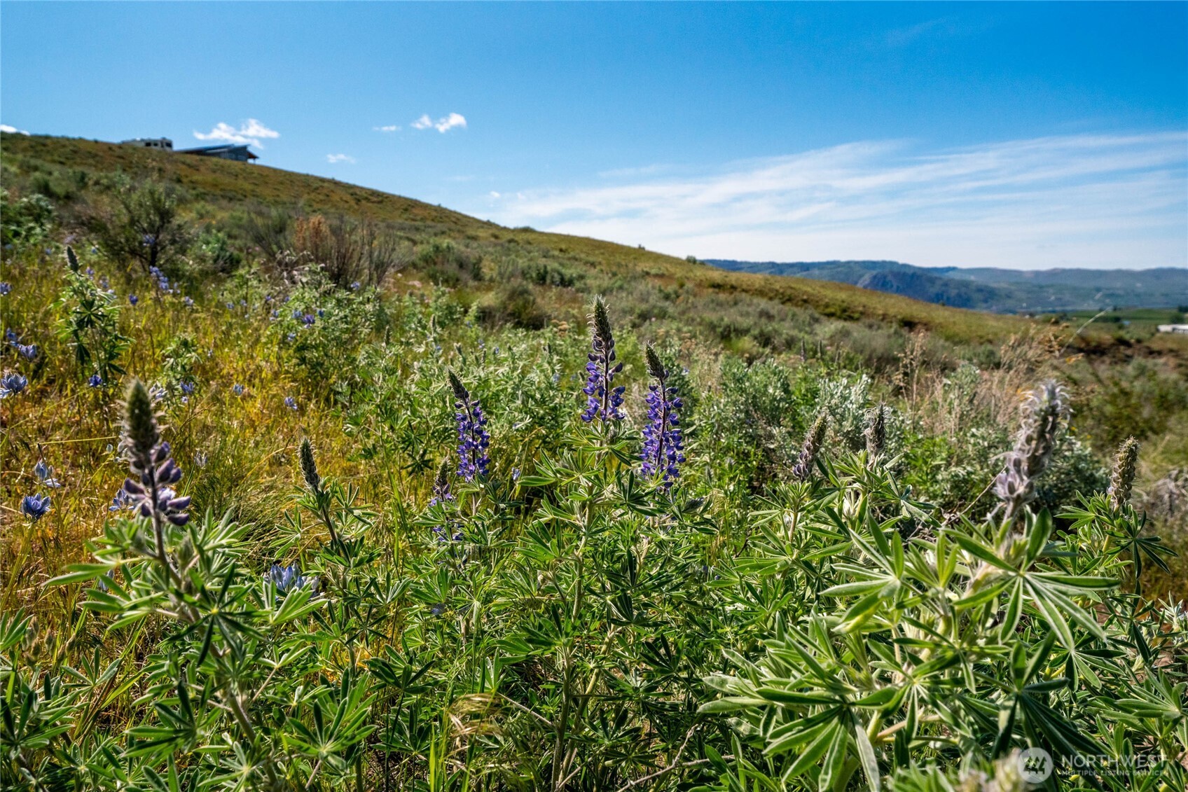 0 Plata Road Brewster, WA 98812 - Photo 12 of 28 a view of a city with lush green forest