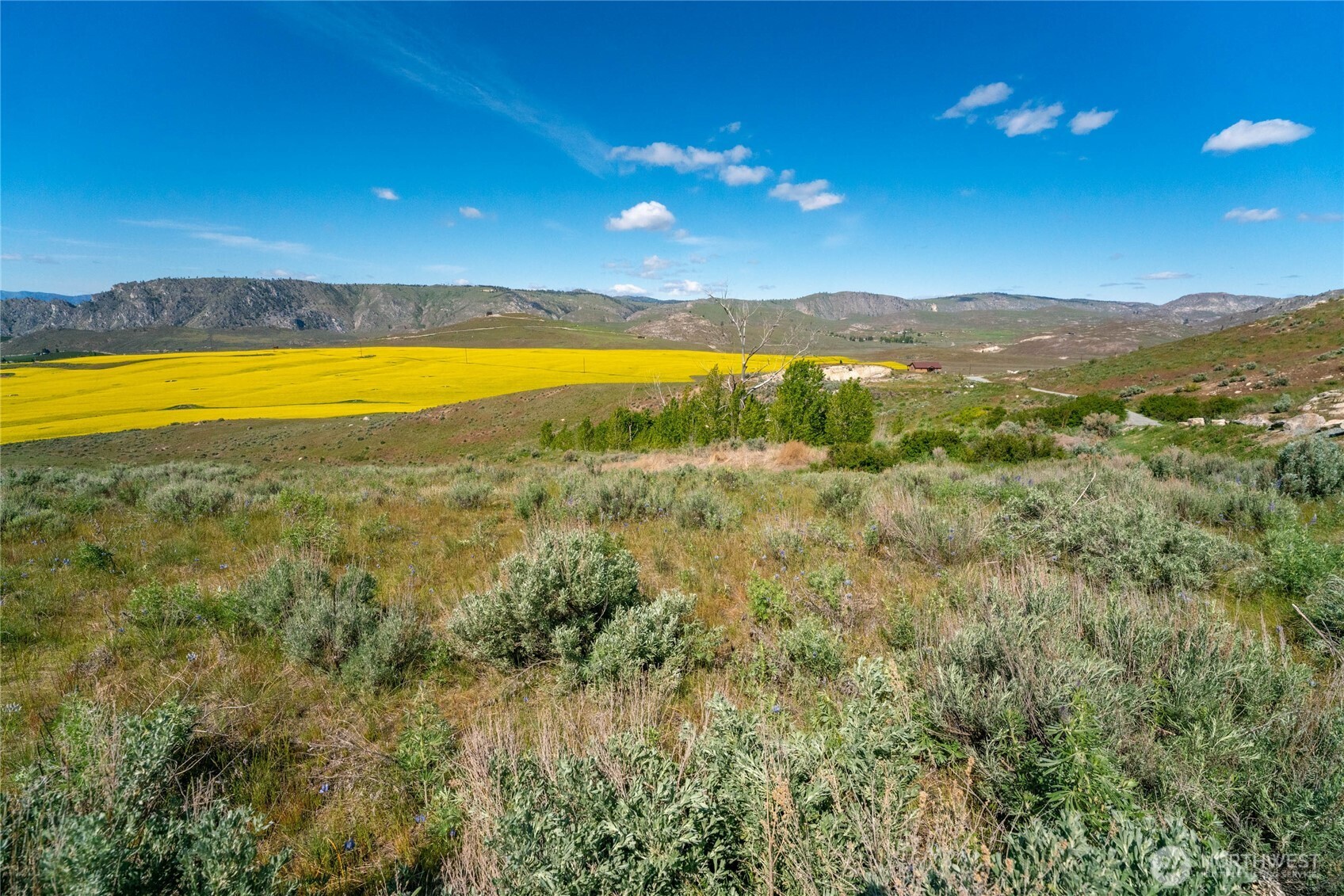 0 Plata Road Brewster, WA 98812 - Photo 9 of 28 a view of an ocean and a mountain