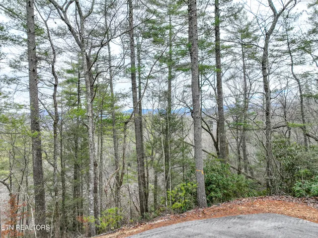 $325,000 | Lot 20 Slate Quarry Point Road, Townsend, TN 37882