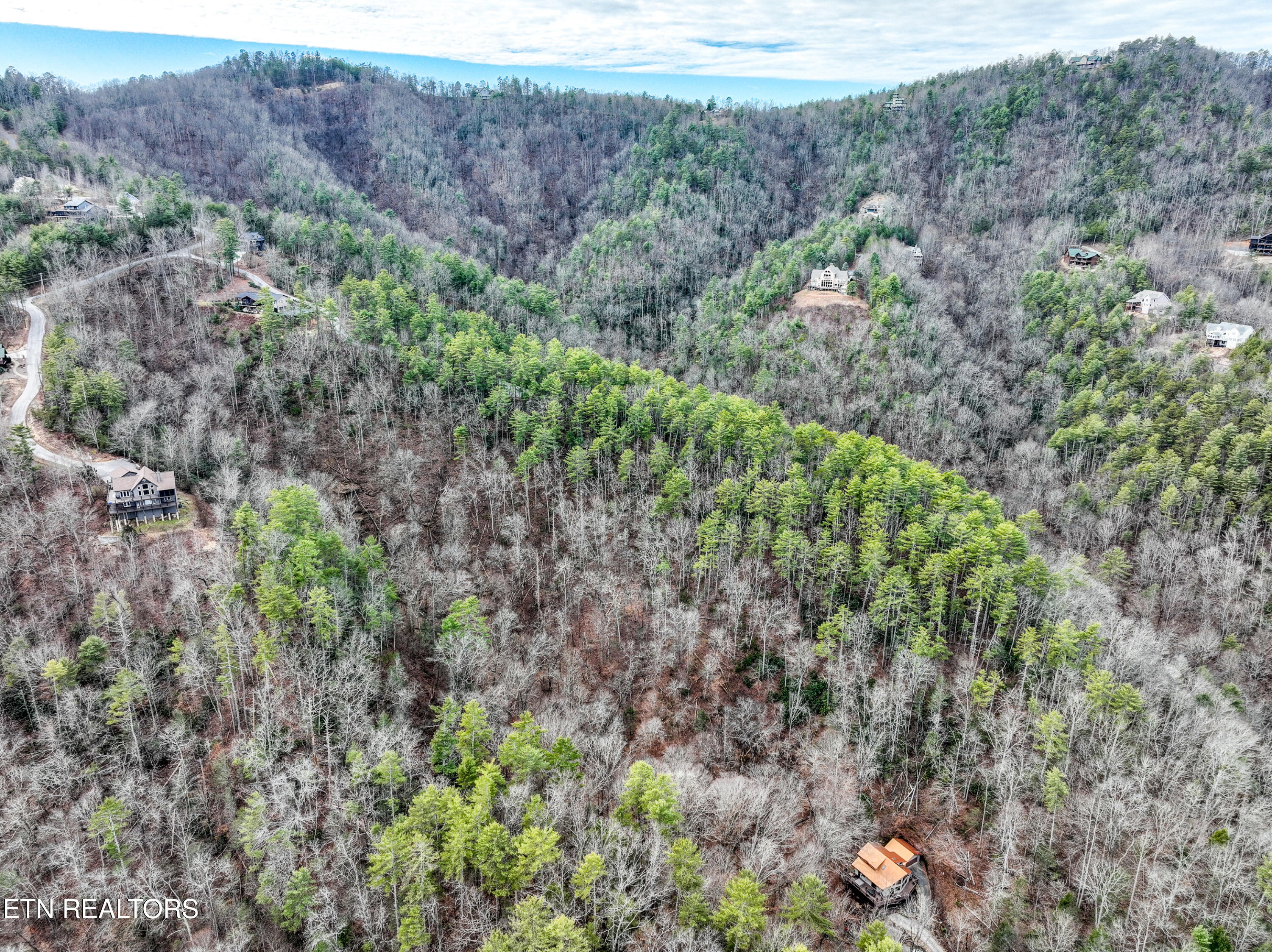 Lot 20 Slate Quarry Point Road Townsend, TN 37882 - Photo 8 of 13 DJI_0642