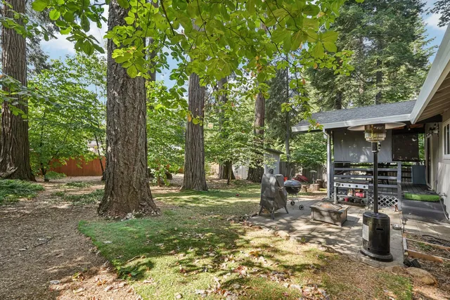 a view of a kids room with a tree