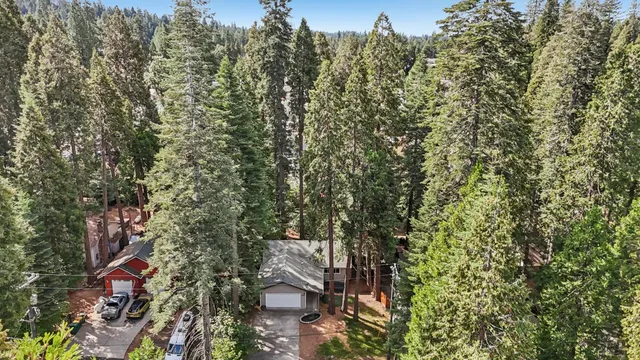 a view of a city with lush green forest