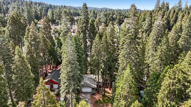 a view of a city with lush green forest