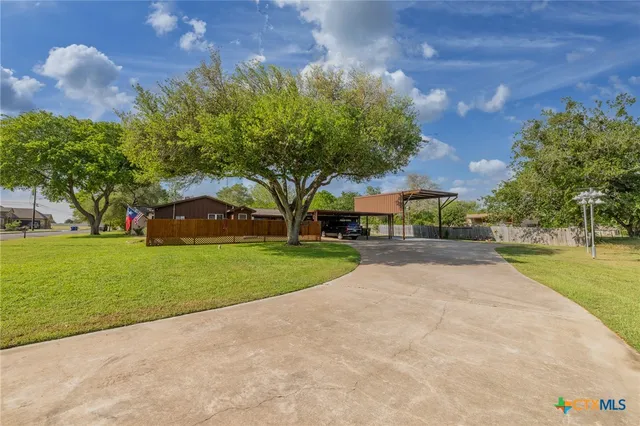 a view of a park with large trees