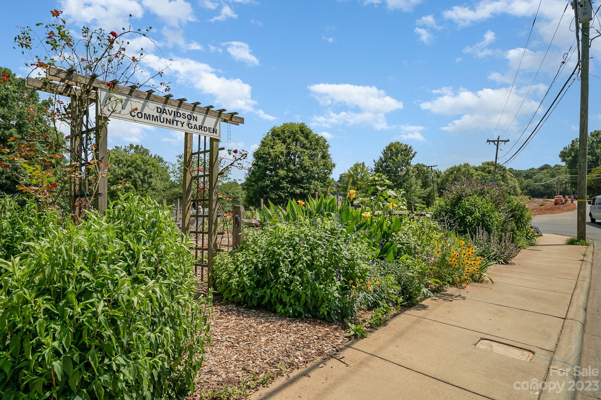319 Spring Street Davidson, NC 28036 - Photo 44 of 45 Gallery Image 44