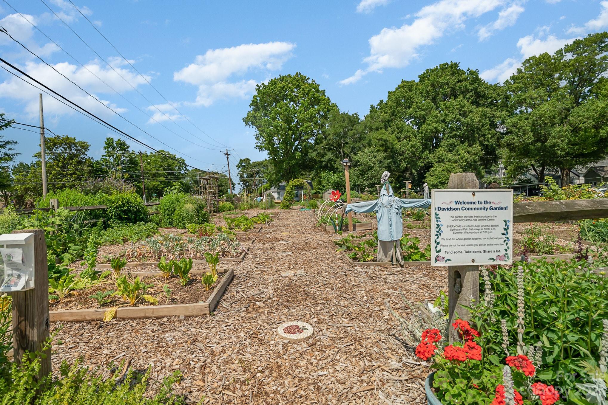 319 Spring Street Davidson, NC 28036 - Photo 45 of 45 Gallery Image 45