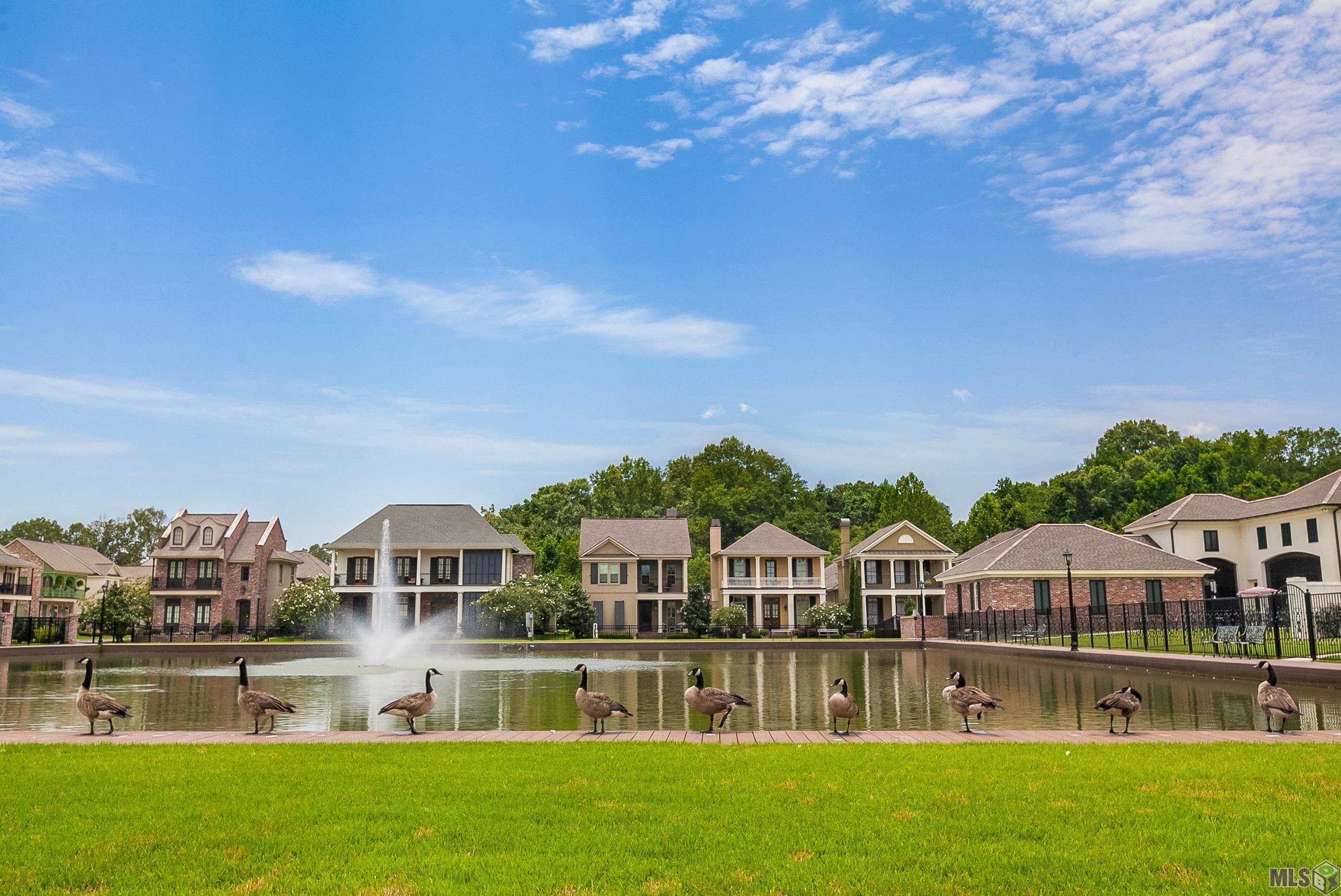 13374 Virage Court Baton Rouge, LA 70818 - Photo 20 of 27