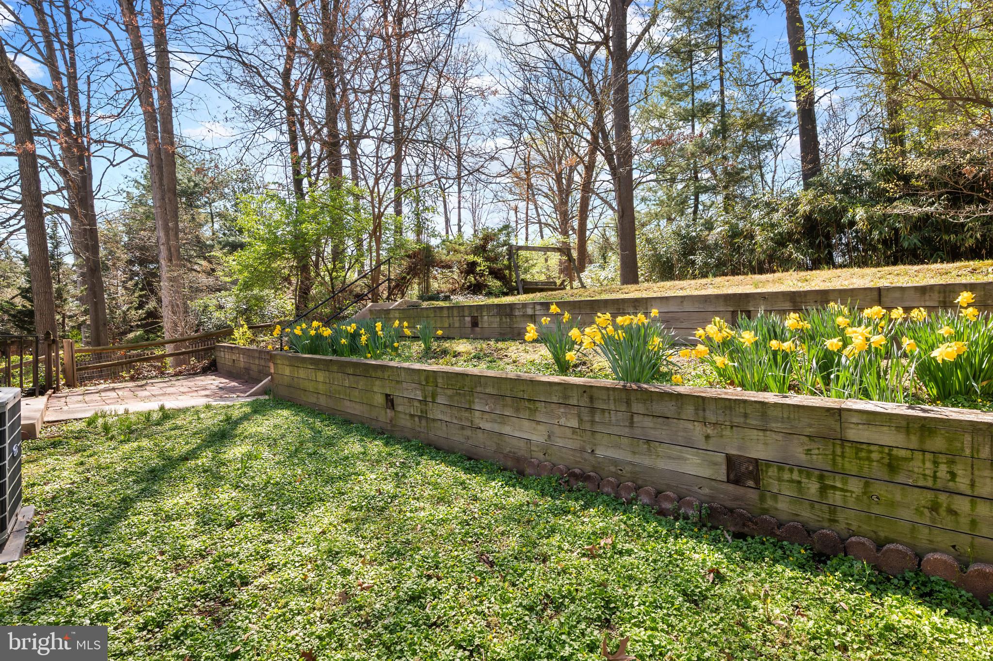 9704 Lorain Avenue Silver Spring, MD 20901 - Photo 34 of 43 a view of outdoor space and yard