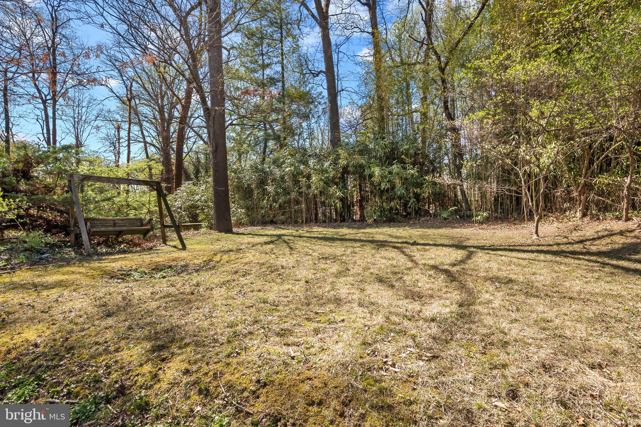 9704 Lorain Avenue Silver Spring, MD 20901 - Photo 36 of 43 a view of outdoor space with trees