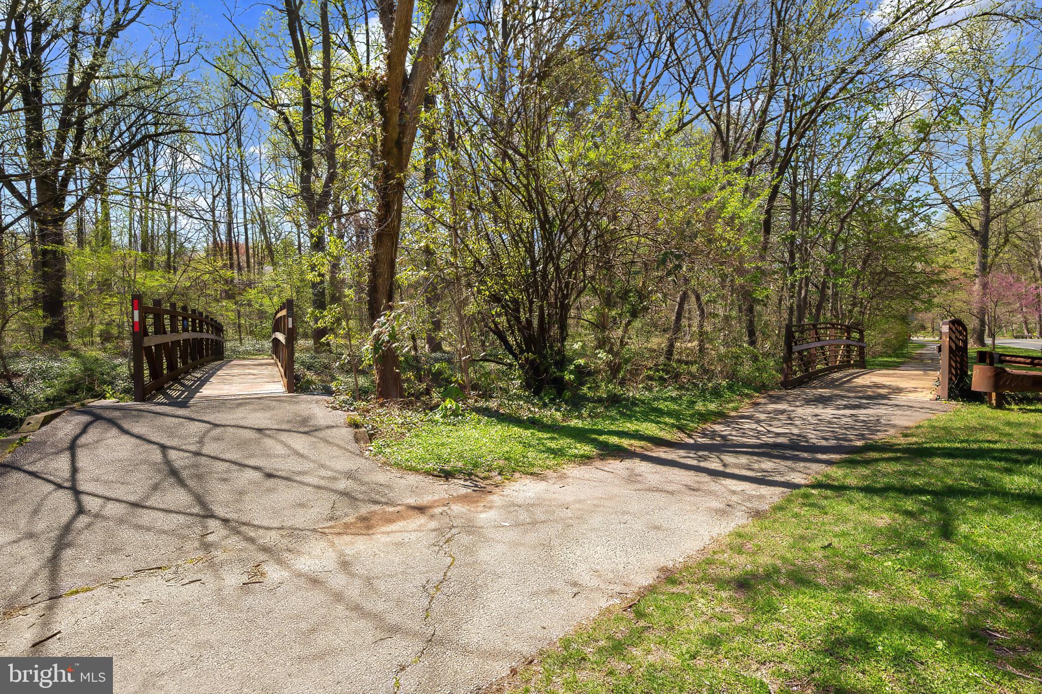 9704 Lorain Avenue Silver Spring, MD 20901 - Photo 40 of 43 a view of backyard with tree