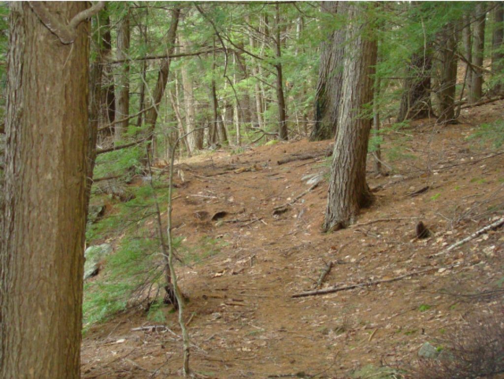 0 Jenness Hill Road Meredith, NH 03253 - Photo 14 of 14 Gallery Image 14