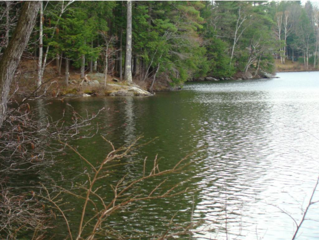 0 Jenness Hill Road Meredith, NH 03253 - Photo 5 of 14 Gallery Image 5