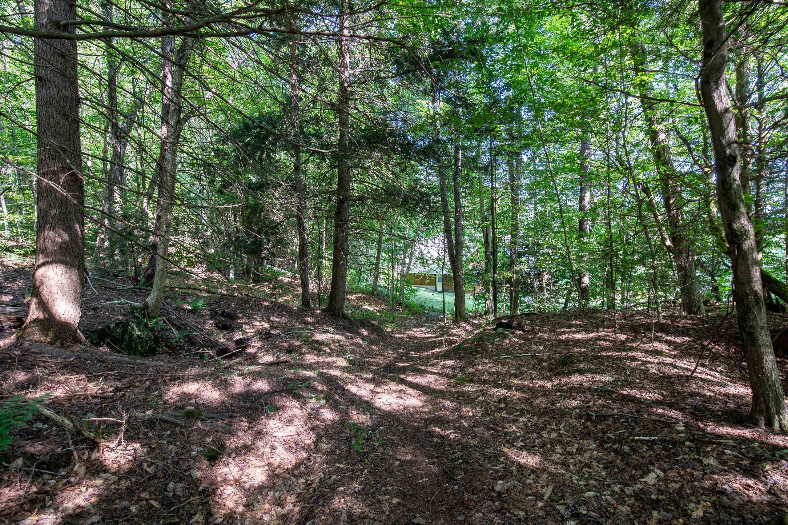 207 Music Mountain Road Stockbridge, VT 05772 - Photo 46 of 48 Gallery Image 46