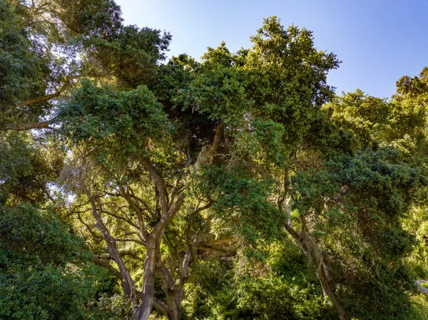 $13,000,000 | 7200 Highway 1, Lompoc, CA 93436