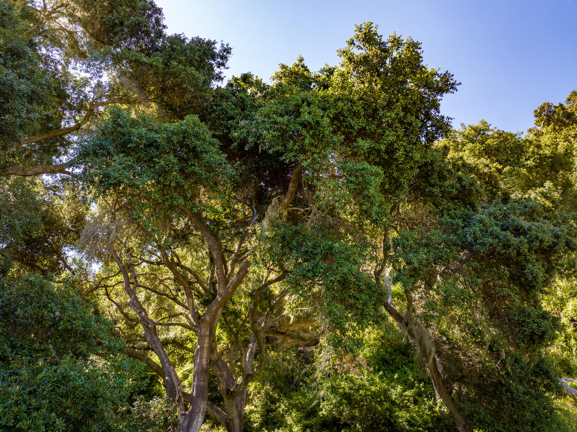 7200 Highway 1 Lompoc, CA 93436 - Photo 14 of 33 Ytias Ranch Web - 13