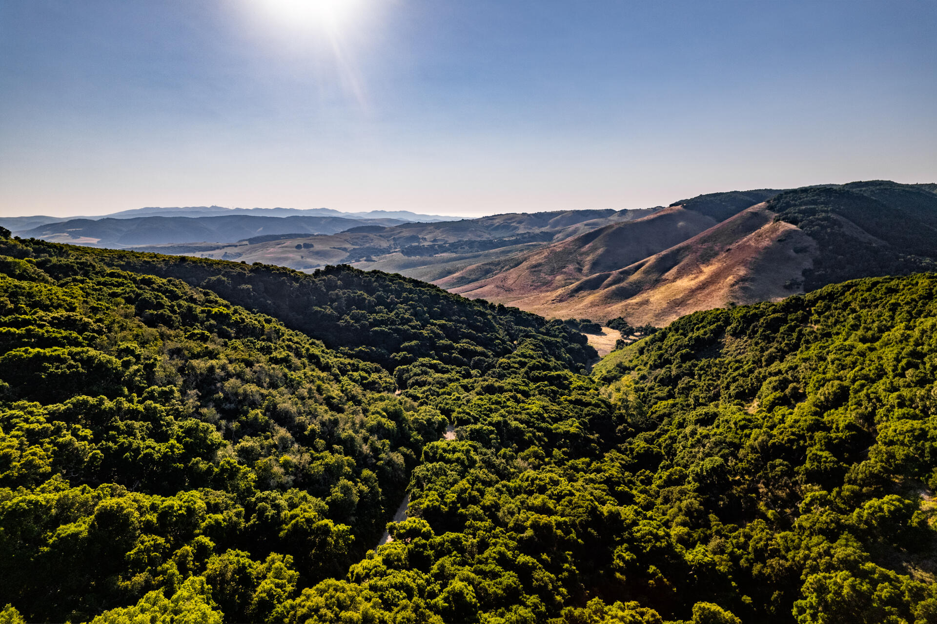 7200 Highway 1 Lompoc, CA 93436 - Photo 28 of 33 Ytias Ranch Web - 28