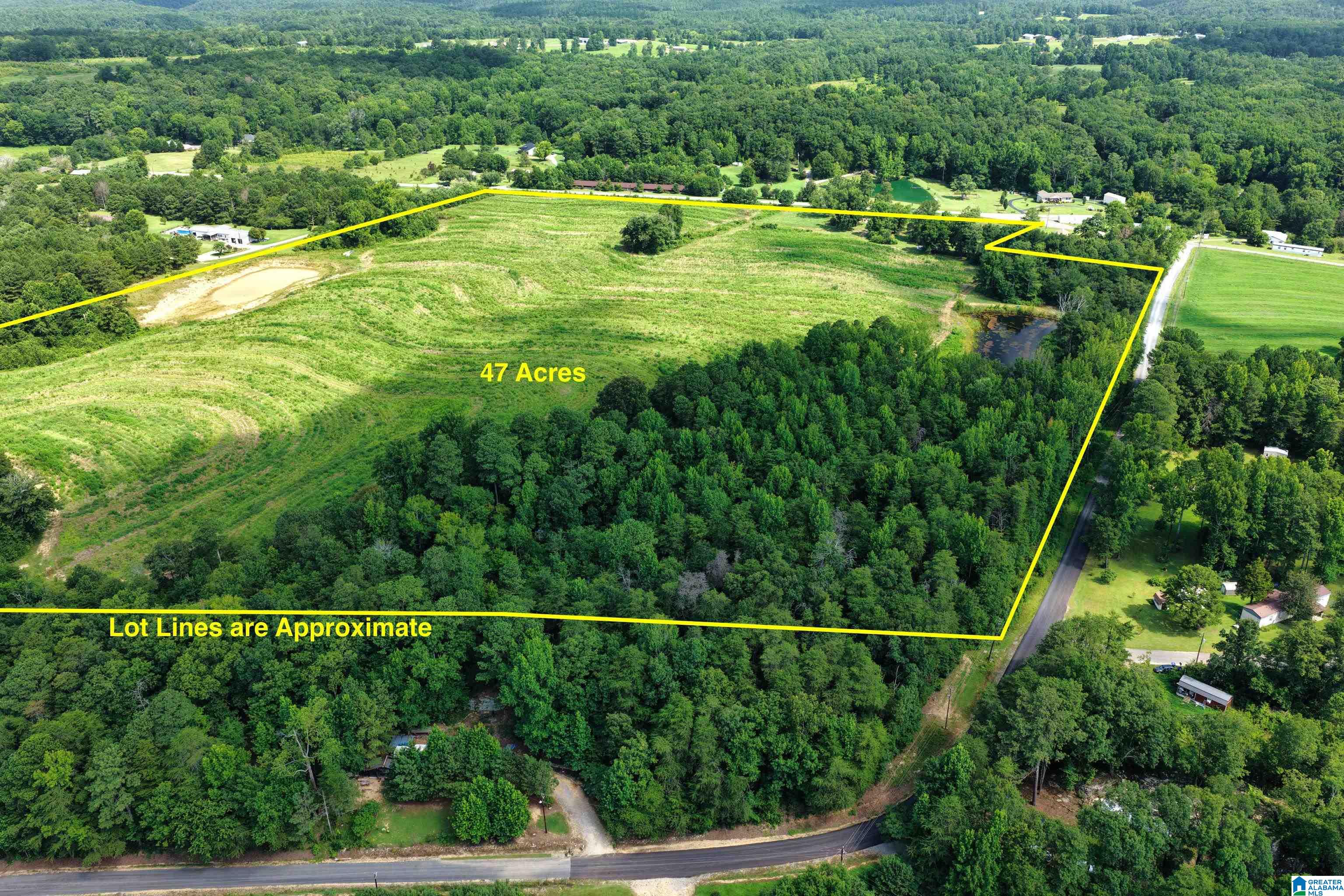0 County Highway 27, Unit 47 Springville, AL 35146 - Photo 6 of 53