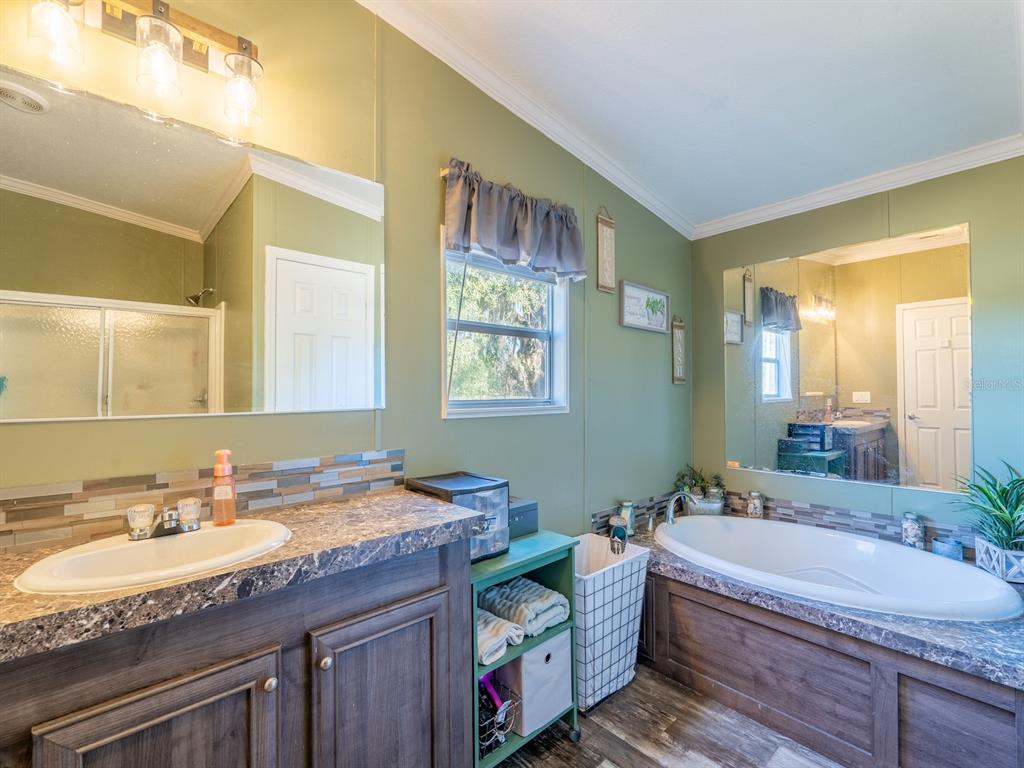 22457 Northeast 130th Court Road Fort McCoy, FL 32134 - Photo 21 of 43 a bathroom with a granite countertop tub a sink and a large mirror