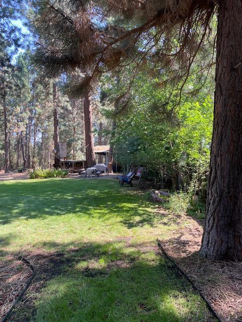 16913 Downey Road Bend, OR 97707 - Photo 8 of 34 Backyard