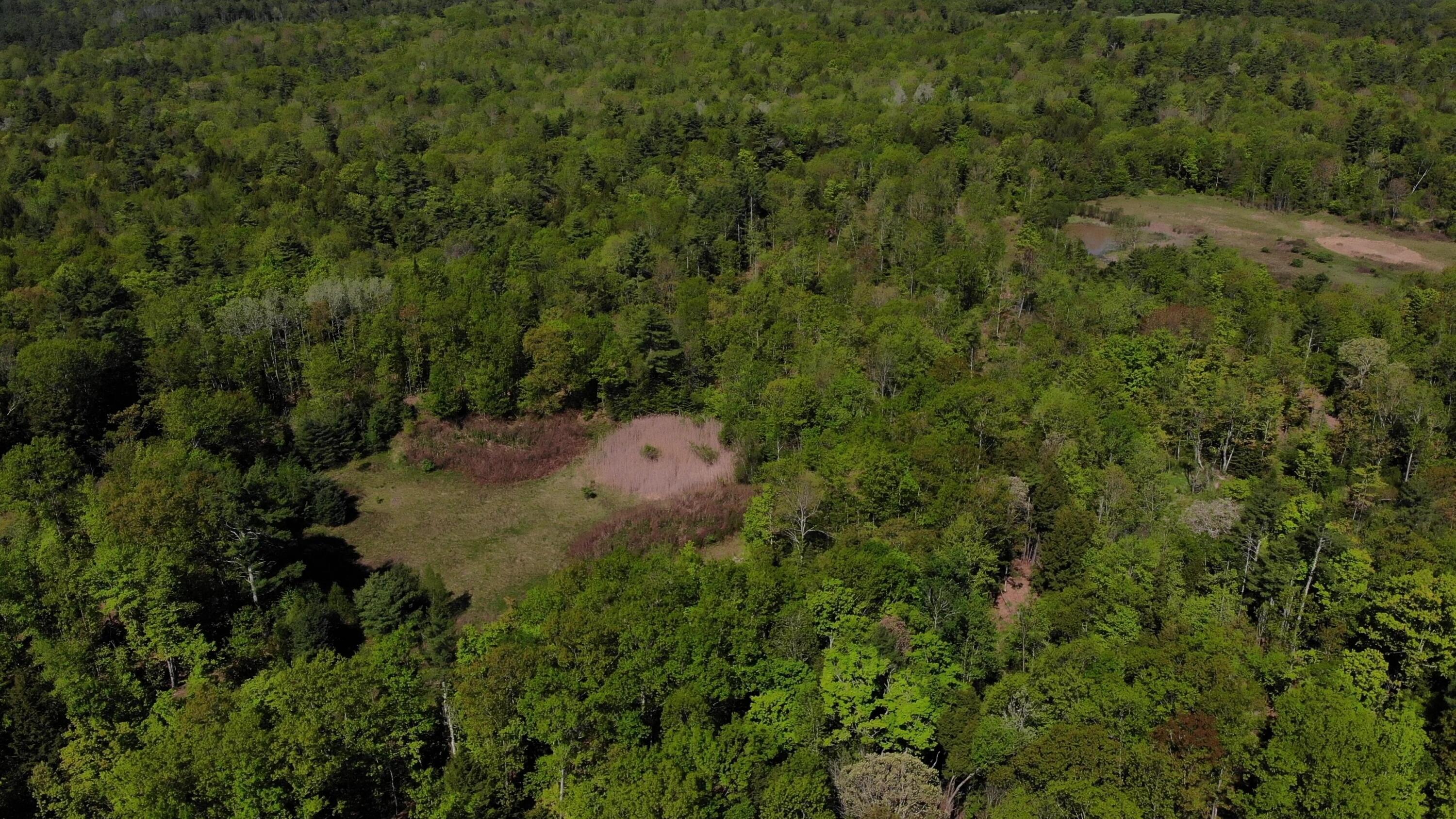 250 Drews Mills Road Biddeford, ME 04005 - Photo 3 of 28 DJI_0135 - frame at 4m18s