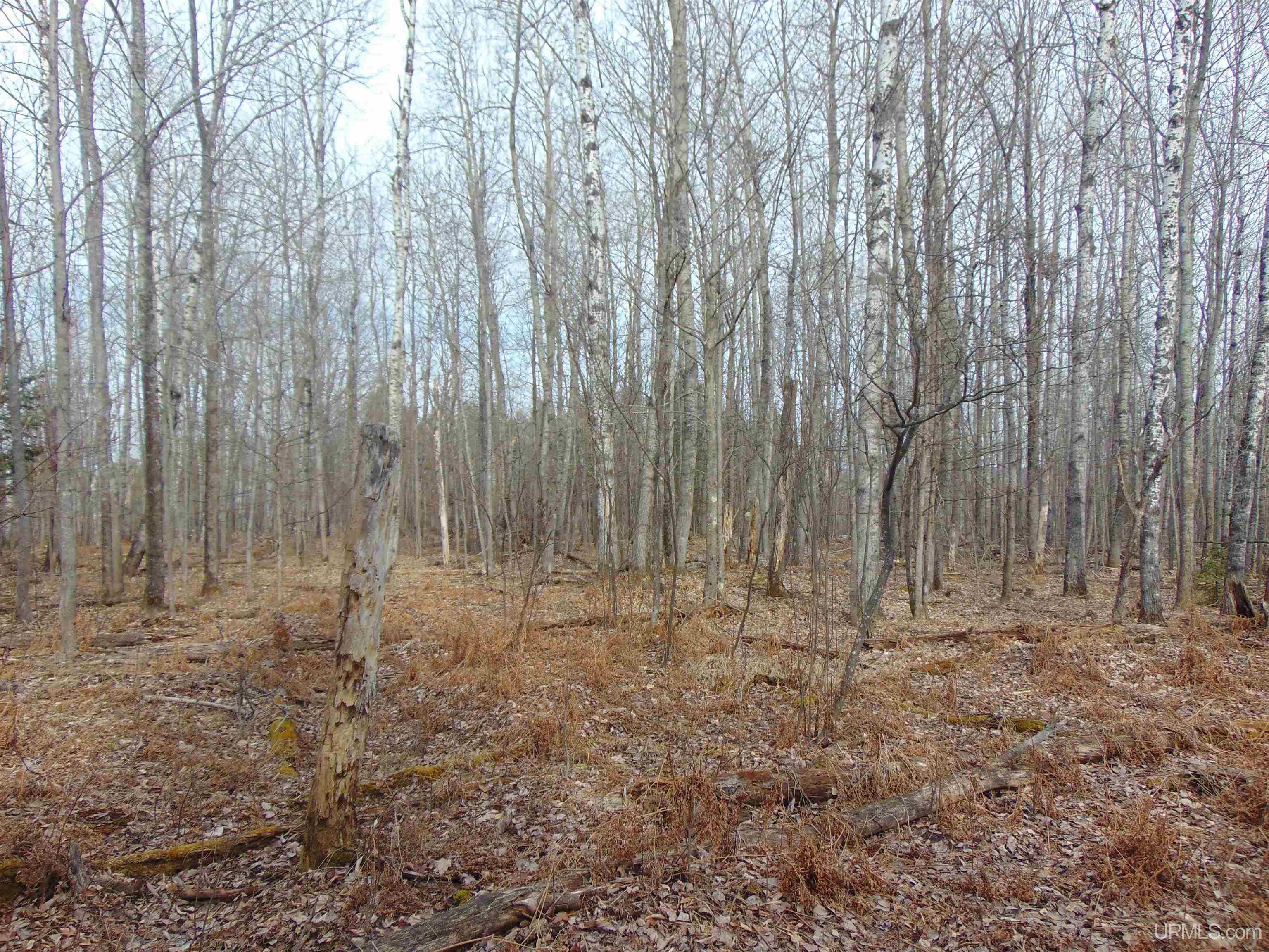 20 Grenlund Road Bruce Crossing, MI 49912 - Photo 6 of 18
