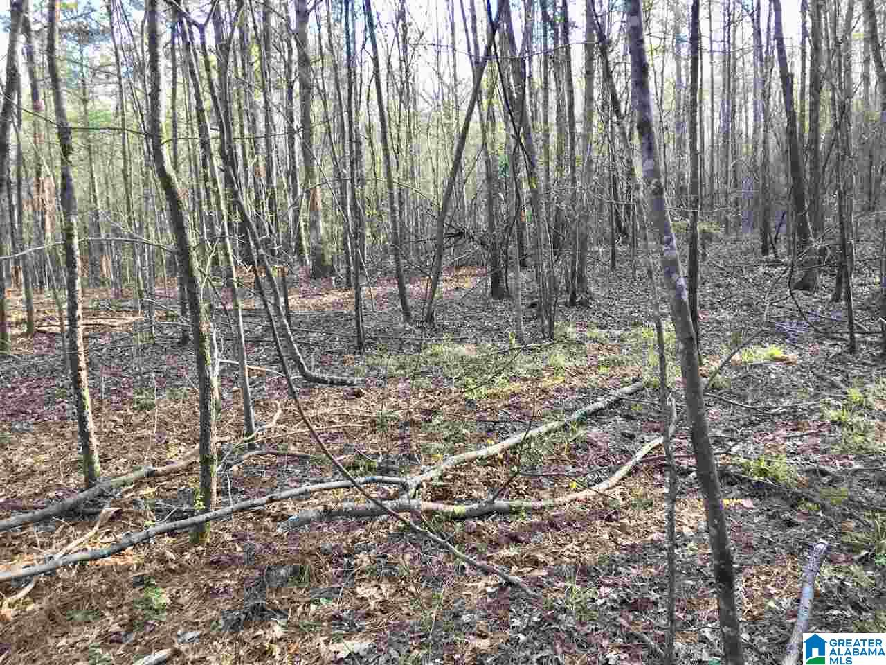 0 6th Street Alexander City, AL 35010 - Photo 4 of 13