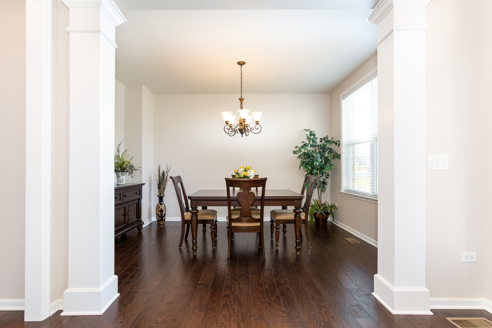 4336 Little Leaf Road Naperville, IL 60564 - Photo 11 of 33