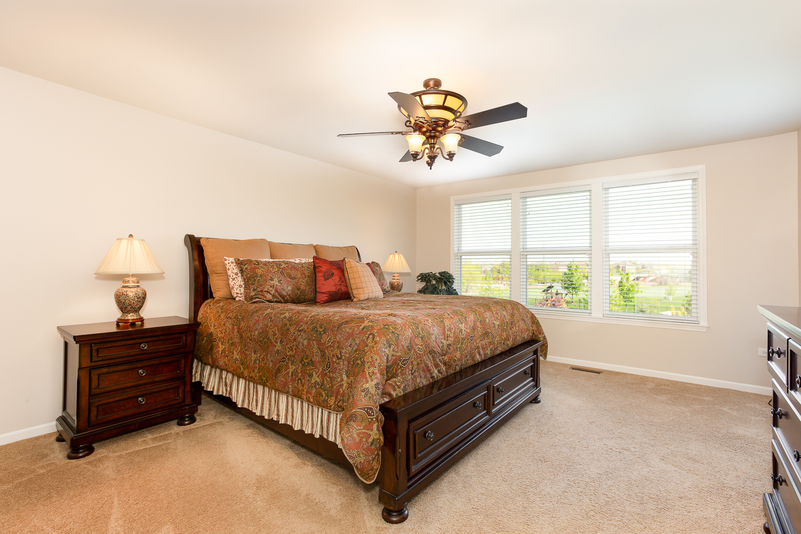 4336 Little Leaf Road Naperville, IL 60564 - Photo 17 of 33