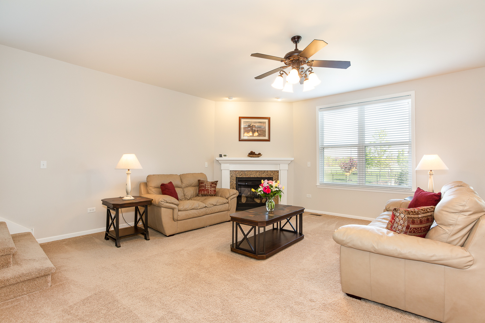 4336 Little Leaf Road Naperville, IL 60564 - Photo 7 of 33